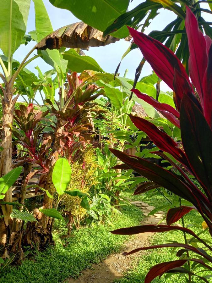 מלון Banana Grove אל נידו מראה חיצוני תמונה